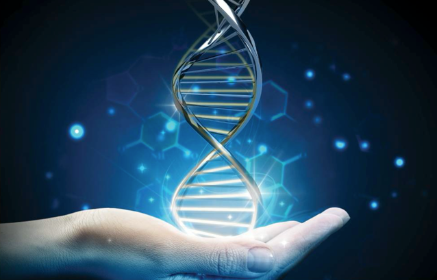 SQ00020-TM Инсталляция и инструктаж пользователя (Москва и МО) FASTASeq 300