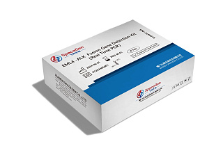 SPG-ALK001R Набор для определения EML4 -ALK фьюжн генов /  EML4 -ALK  Fusion Gene Detection Kit